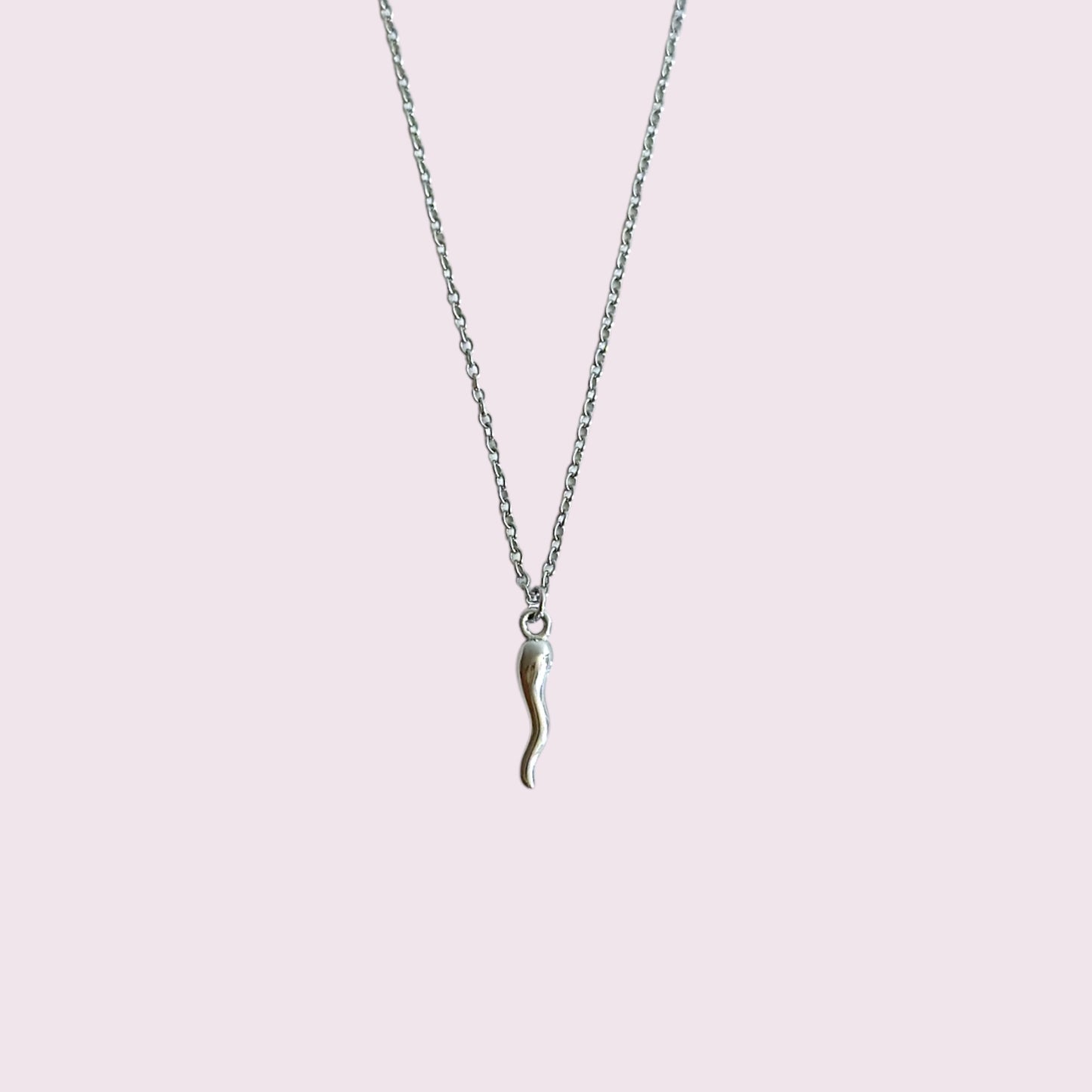 Silver Italian cornicello horn necklace